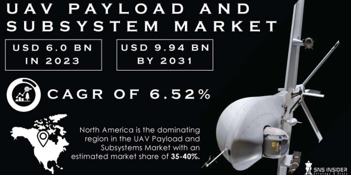 UAV Payload and Subsystem Market Challenges, Business Overview and Forecast Research Study 2024-2031