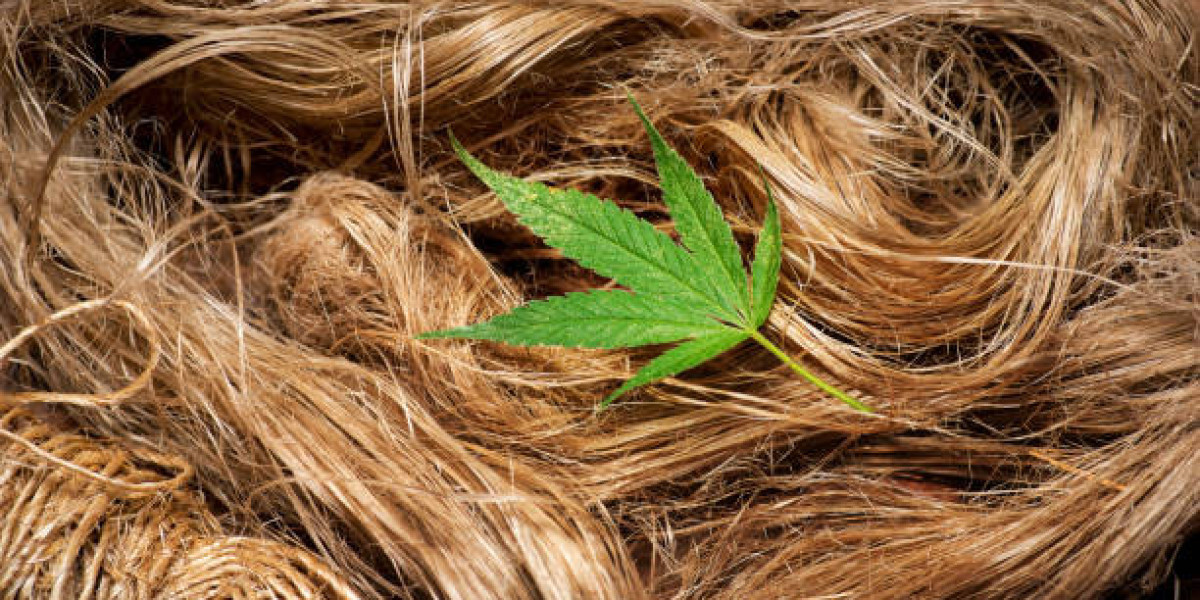 North America Industrial Hemp Key Market Players by Product and Consumption, and Forecast 2032