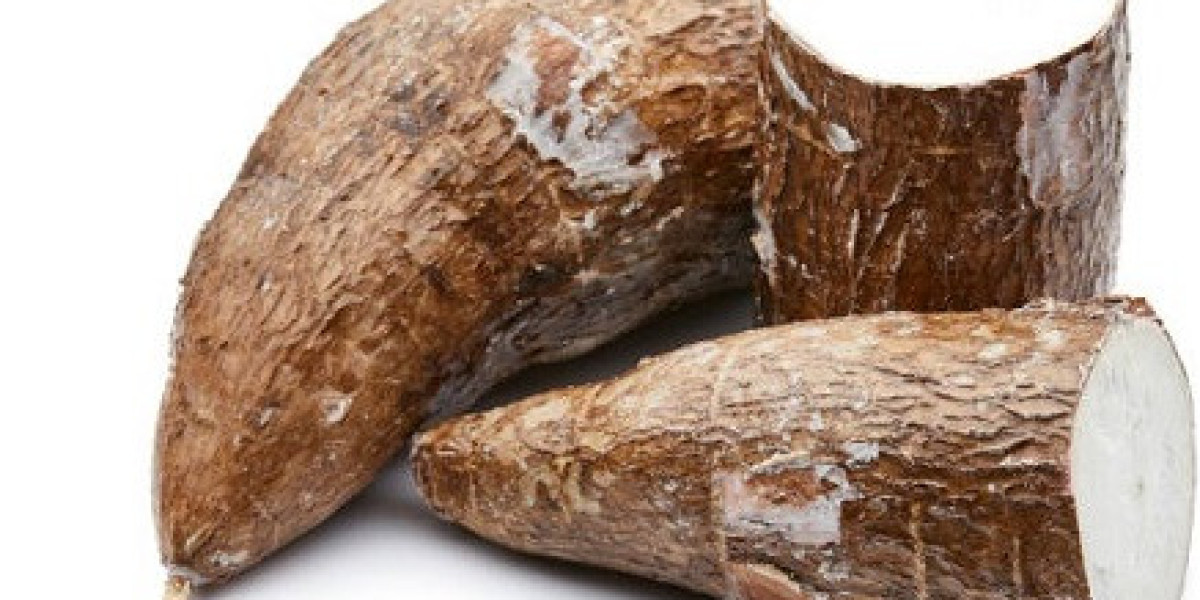 Cassava Market Trends, Statistics, Key Players, Revenue, and Forecast 2032