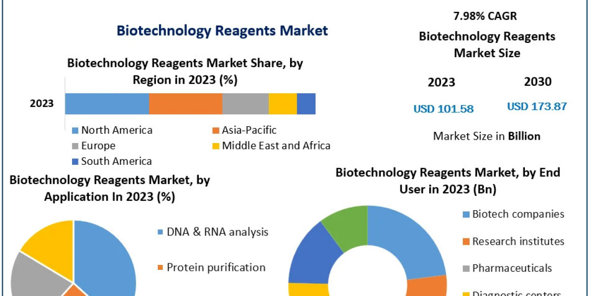 Biotechnology Reagents Market is on Track to Grow at a CAGR of 7.98%, Anticipating US$ 173.87 Bn by 2030