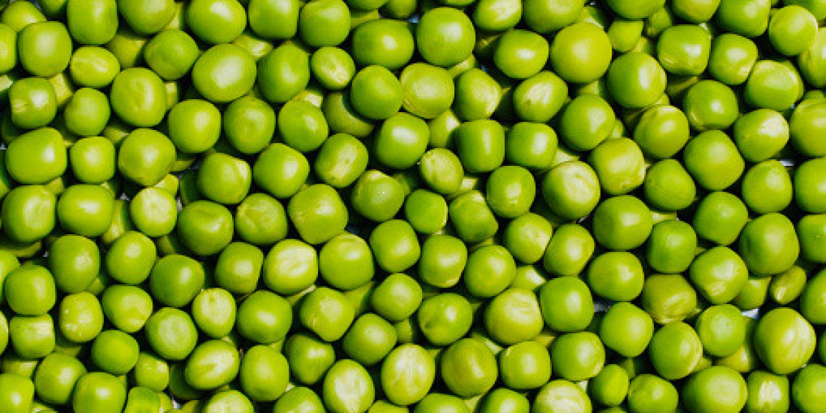 Pea Starch Market Overview of Top Competitors, Gross Margin, and Forecast to 2032