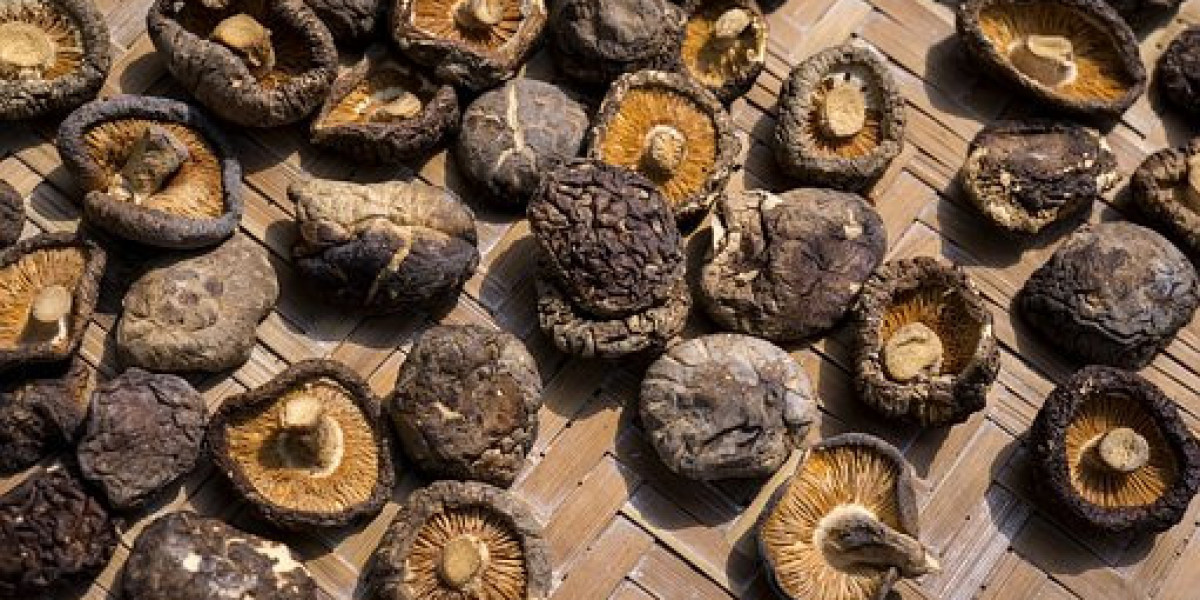 Shiitake Mushroom Key Market Players by Regional Growth, and Forecast to 2032