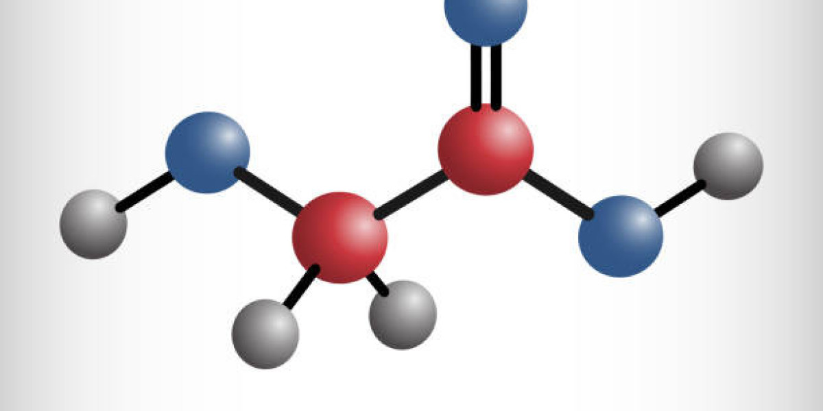 Global Alpha Hydroxy Acid Market: Comprehensive Analysis and Future Prospects