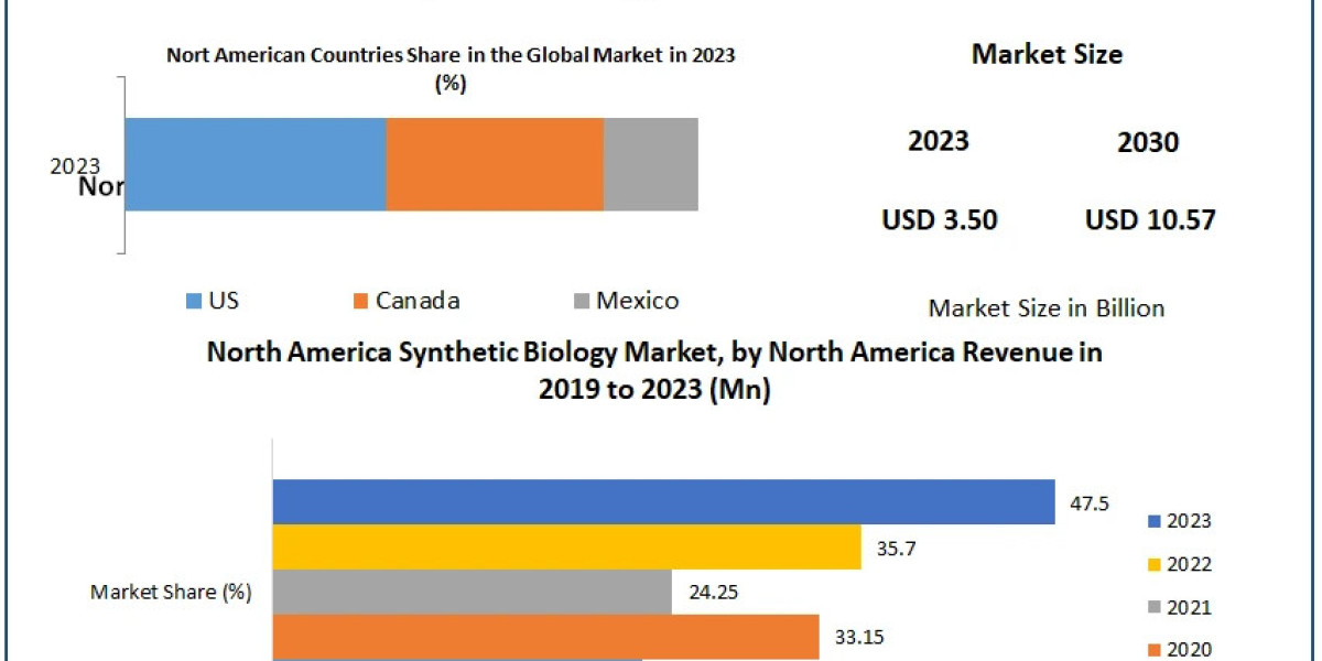 North America Synthetic Biology Market Outlook: Revenue, Size, Share, and Future Scope from 2024 to 2030