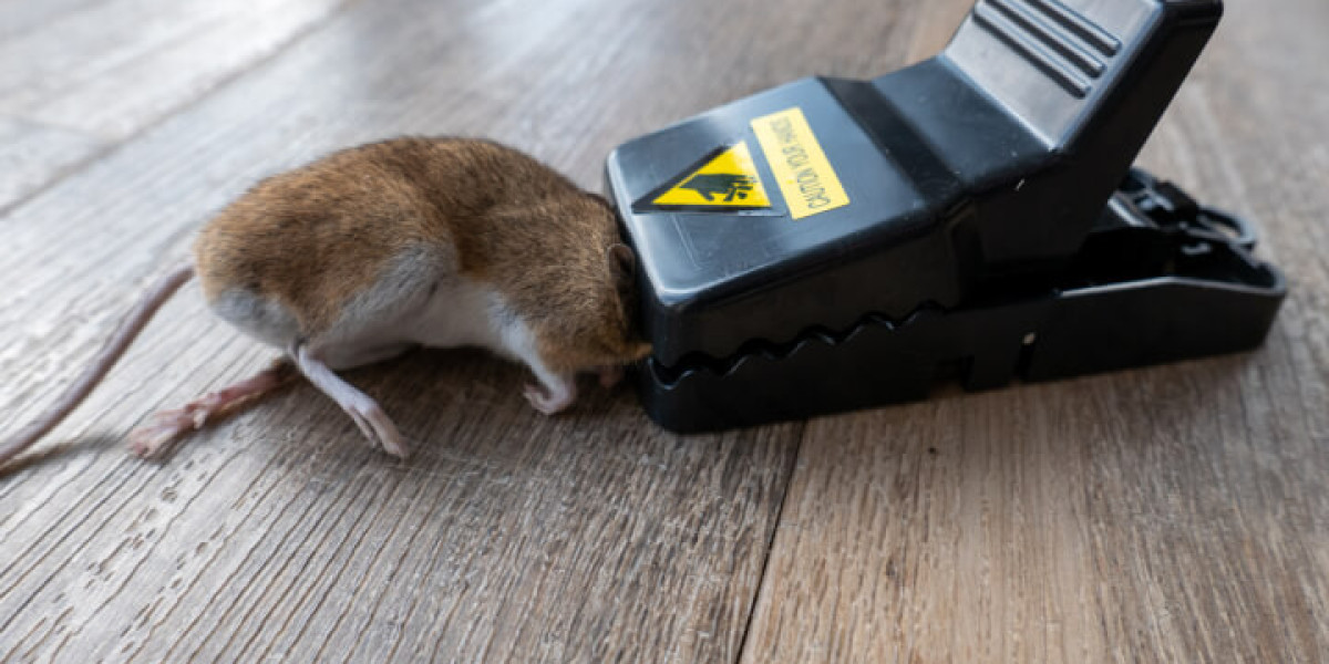 Understanding Mouse Traps: Types, Effectiveness, and Best Practices