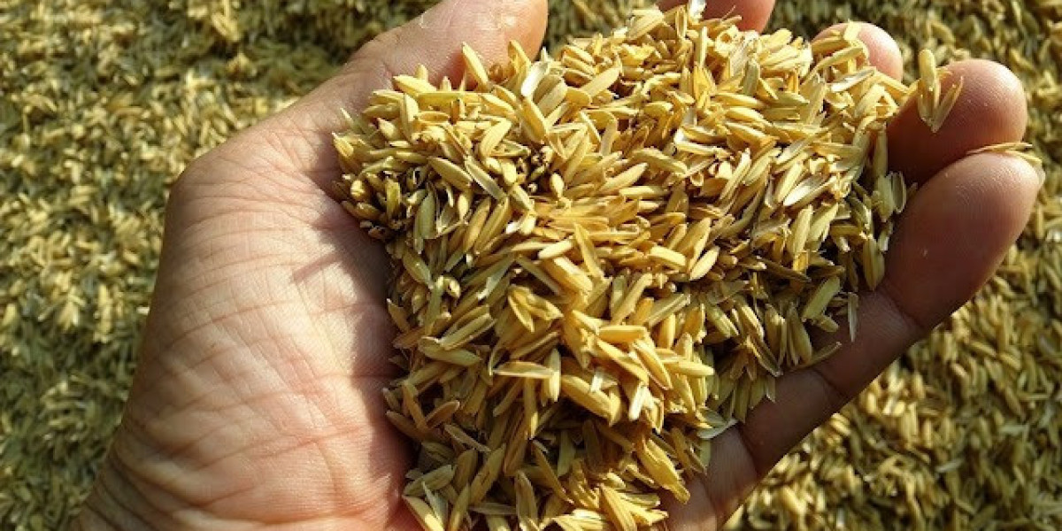 Rice Husk Ash Market Impact of Technological Advancements and Sustainable Practices