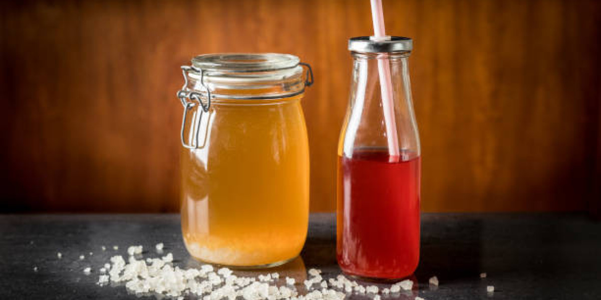 Water Kefir Market Size and Share: Insights and Demand Forecast