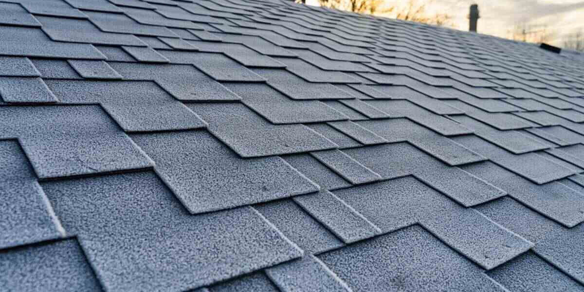 Materials Sector Outlook 2024: Roofing Market Data & Innovation Insights