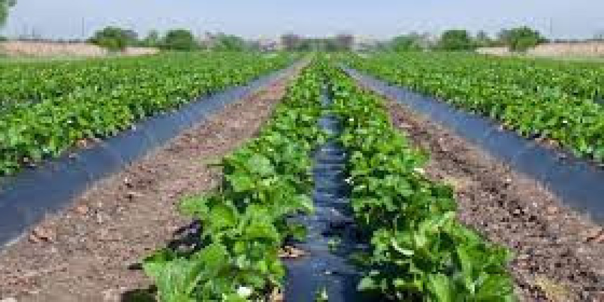 Agricultural Fumigants Market Size, Growth & Industry Research Report