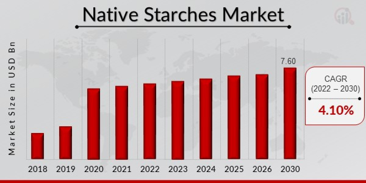 Native Starches Market Size and Share: Insights and Forecast for 2030