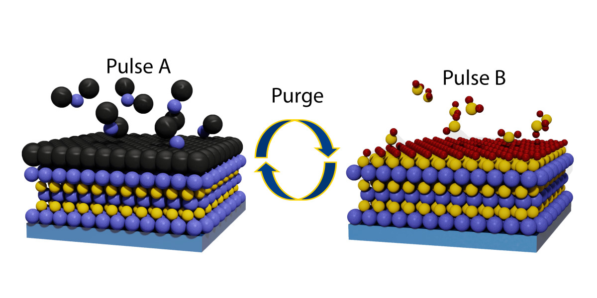 Exploring the Atomic Layer Deposition Market: Trends, Forecasts, and Key Players