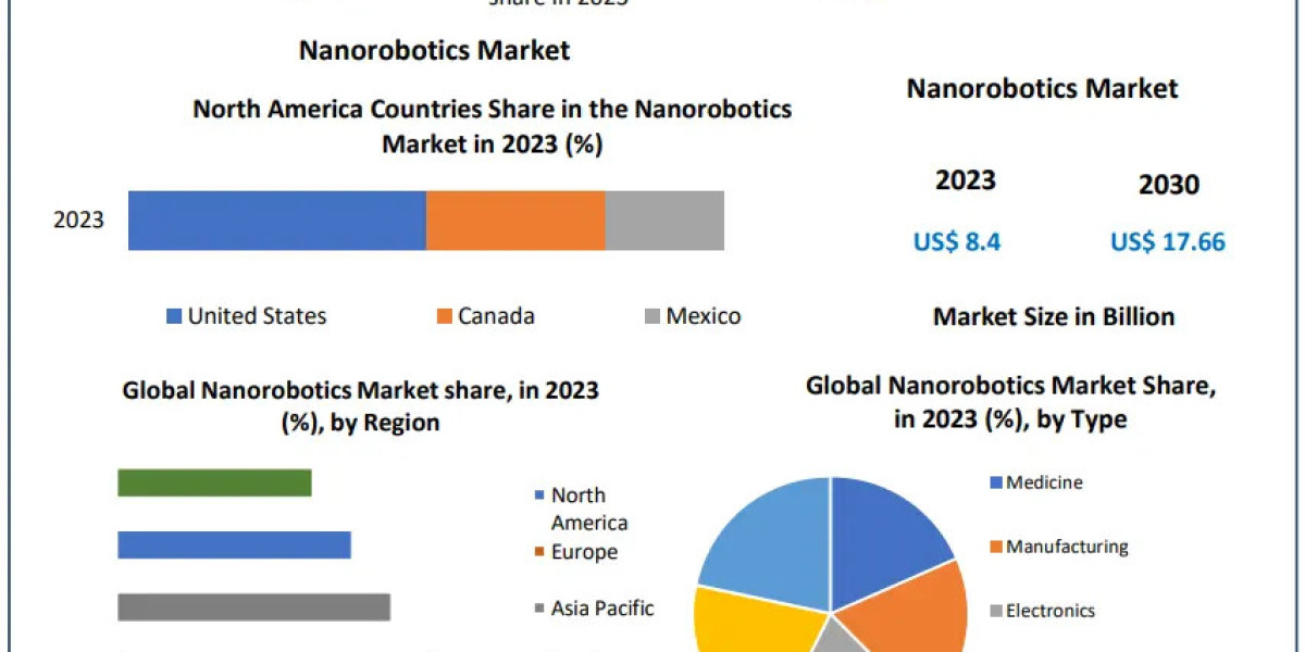 Nanorobotics Market Beyond the Numbers Game: Segmentation, Outlook, and Overview Trends | 2024-2030