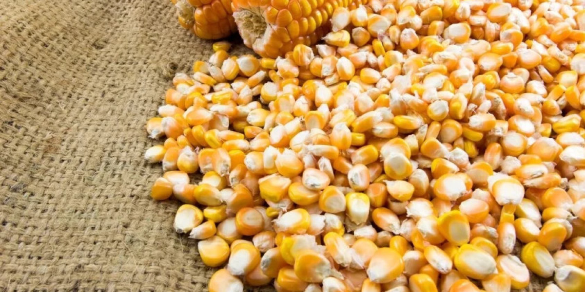 Sweet Corn Seed Market Size, Share, Growth, Opportunities and Global Forecast to 2032