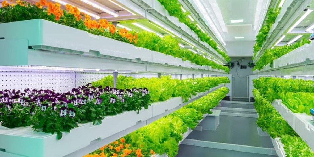 Indoor Farming Technology Market: Driving Factors, Key Players, and Future Directions