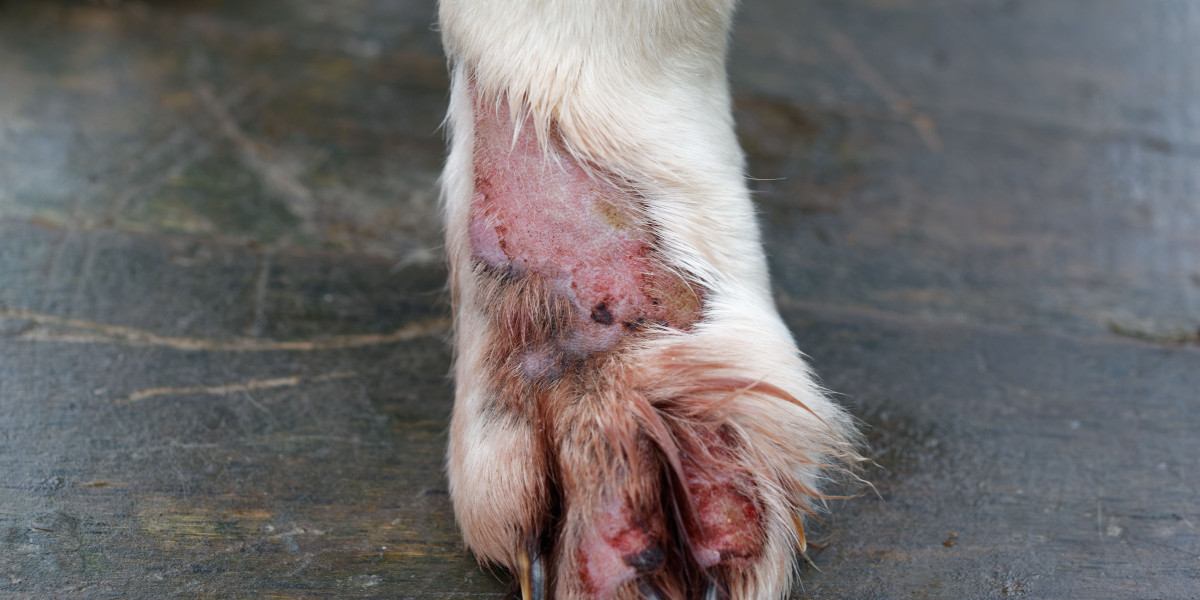 Bacterial Skin Infections in Dogs