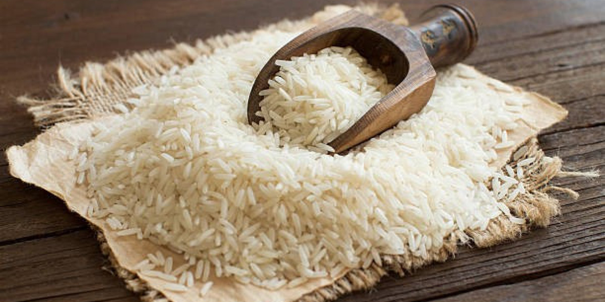 Organic Rice Protein Market Size, Industry Research Report 2023-2032