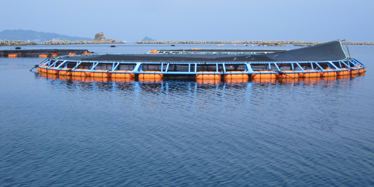 The Evolving Global Market for Fishing Nets and Aquaculture Cages: Analysis and Projections