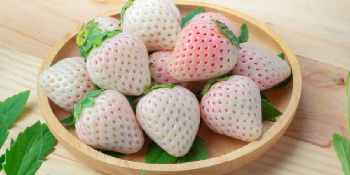 White Strawberry Market Forecast: Size, Share, and Growth Report for 2032