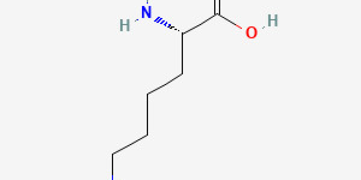 Global Lysine Market: Trends, Growth Drivers, and Future Outlook