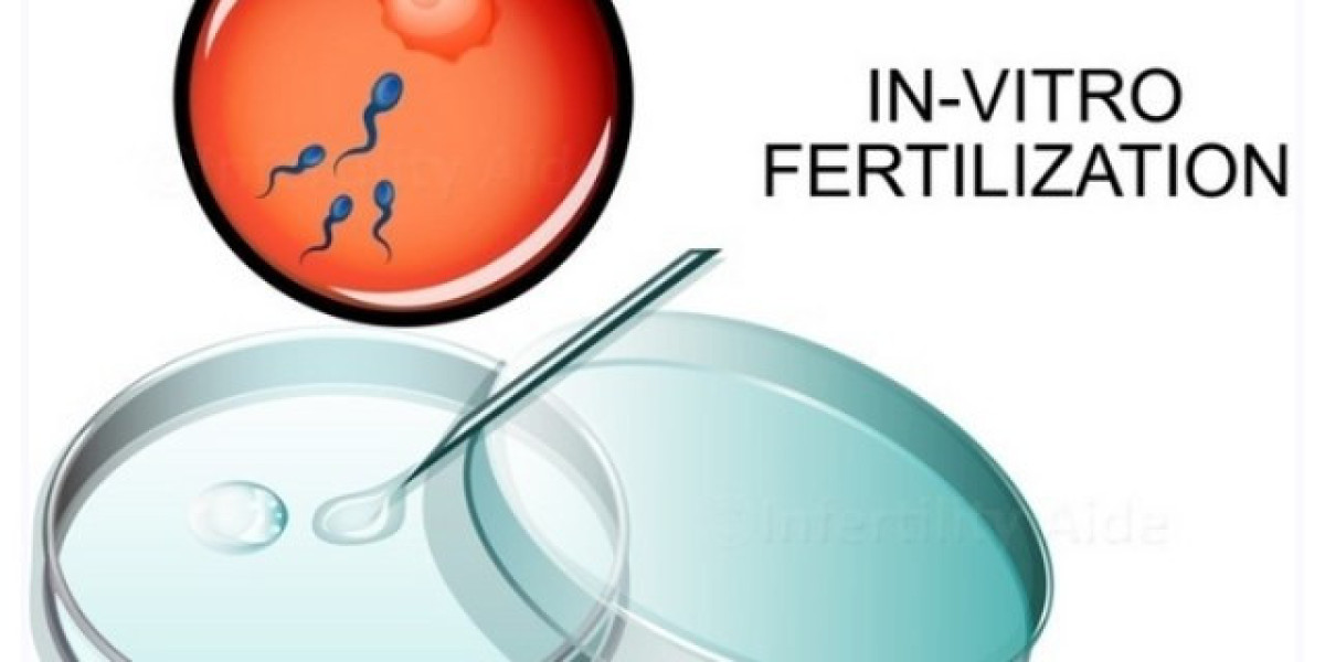 In Vitro Fertilization Market | Global Industry Trends, Segmentation, Business Opportunities & Forecast To 2032