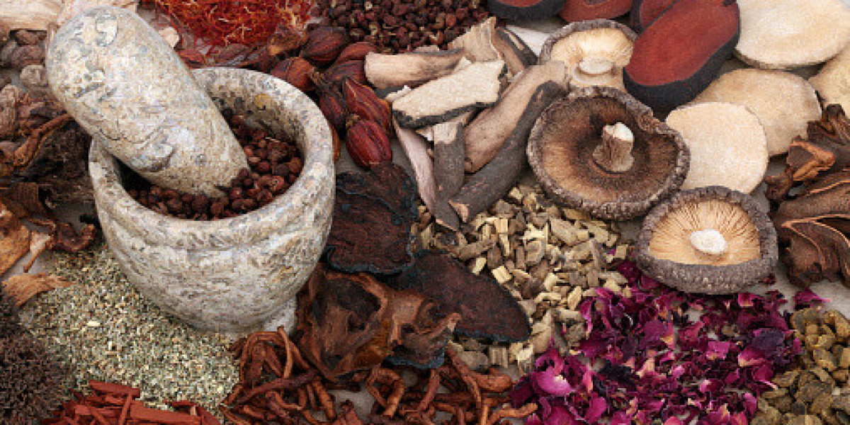 Medicinal Mushroom Market Insights: Drivers, Key Players, and Forecast 2032