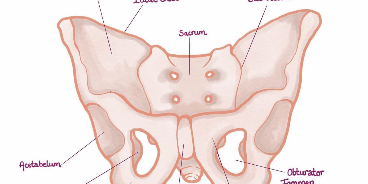 Everything You Need to Know About Pelvic Ultrasound: A Comprehensive Guide