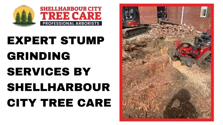 PPT - Expert Stump Grinding Services by Shellharbour City Tree Care PowerPoint Presentation - ID:13578100