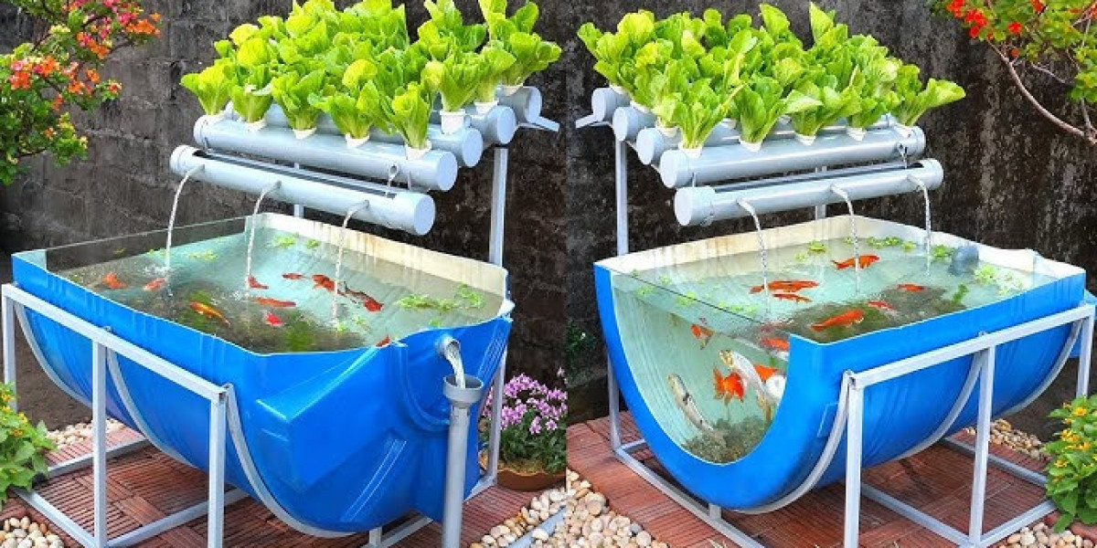 Aquaponics Market Poised for Growth as Demand for Organic and Sustainable Produce Increases