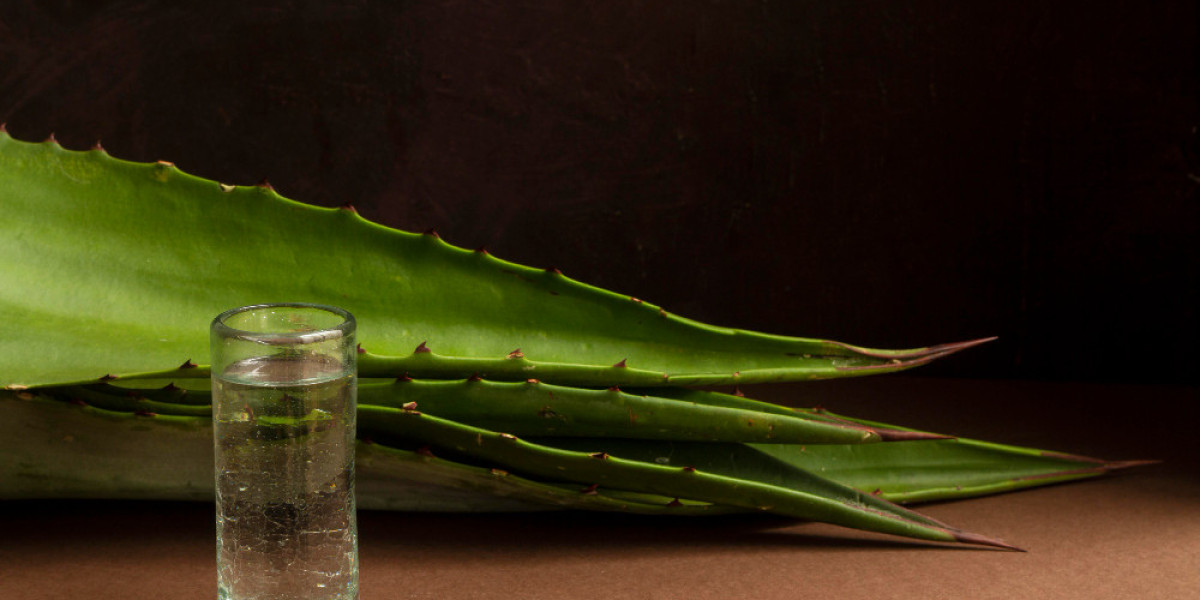 "Global Agave Inulin Market Trends, Growth, and Forecast 2024 | Industry Insights"