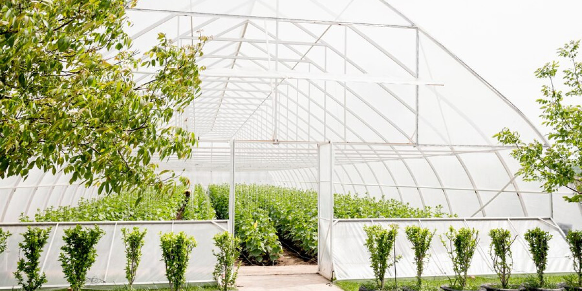 "Global Greenhouse Films Market: Opportunities, Challenges, and Regional Analysis"