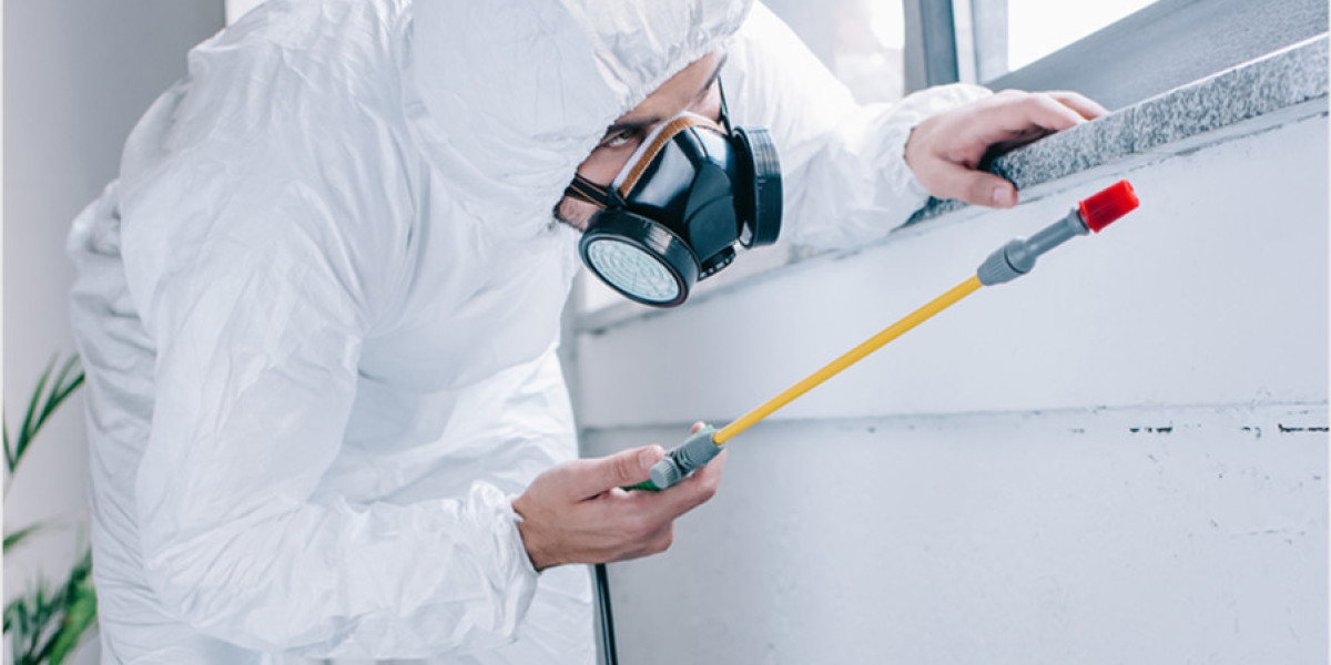 Why Professional Pest Control Could Be the Secret to a Healthier Home