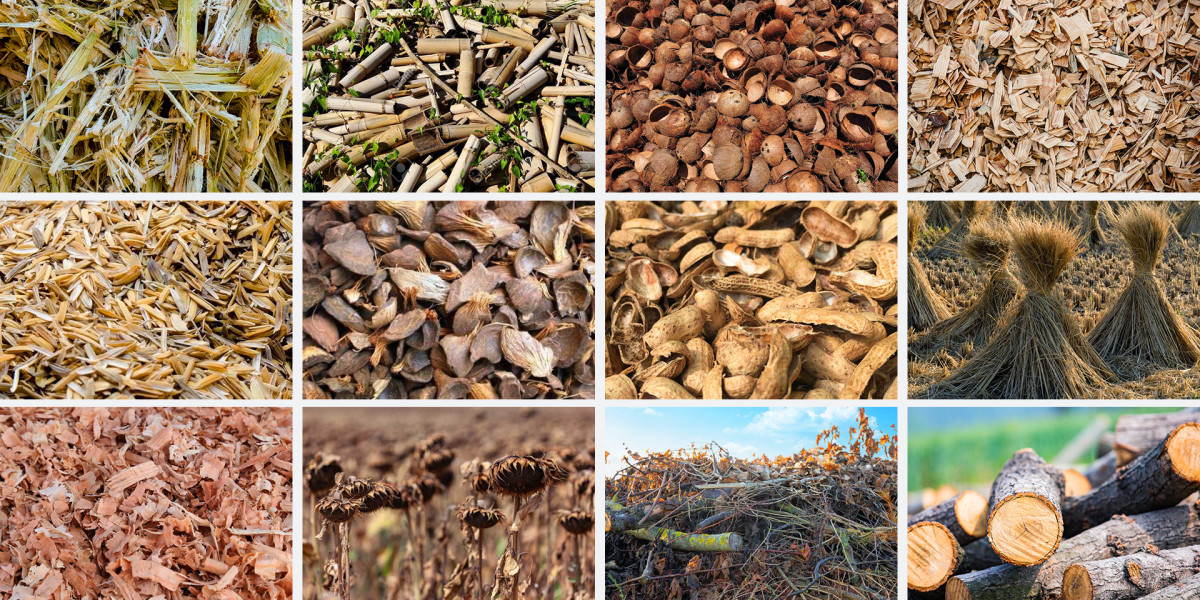 Europe Biochar from Woody Biomass Market Overview and Future Growth Forecast 2024 - 2032