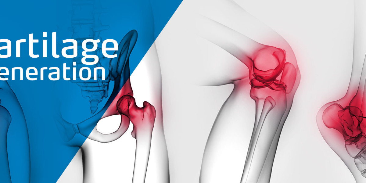 Global Cartilage Repair Regeneration Market Growth Driven by Increasing Sports Injuries and Aging Population