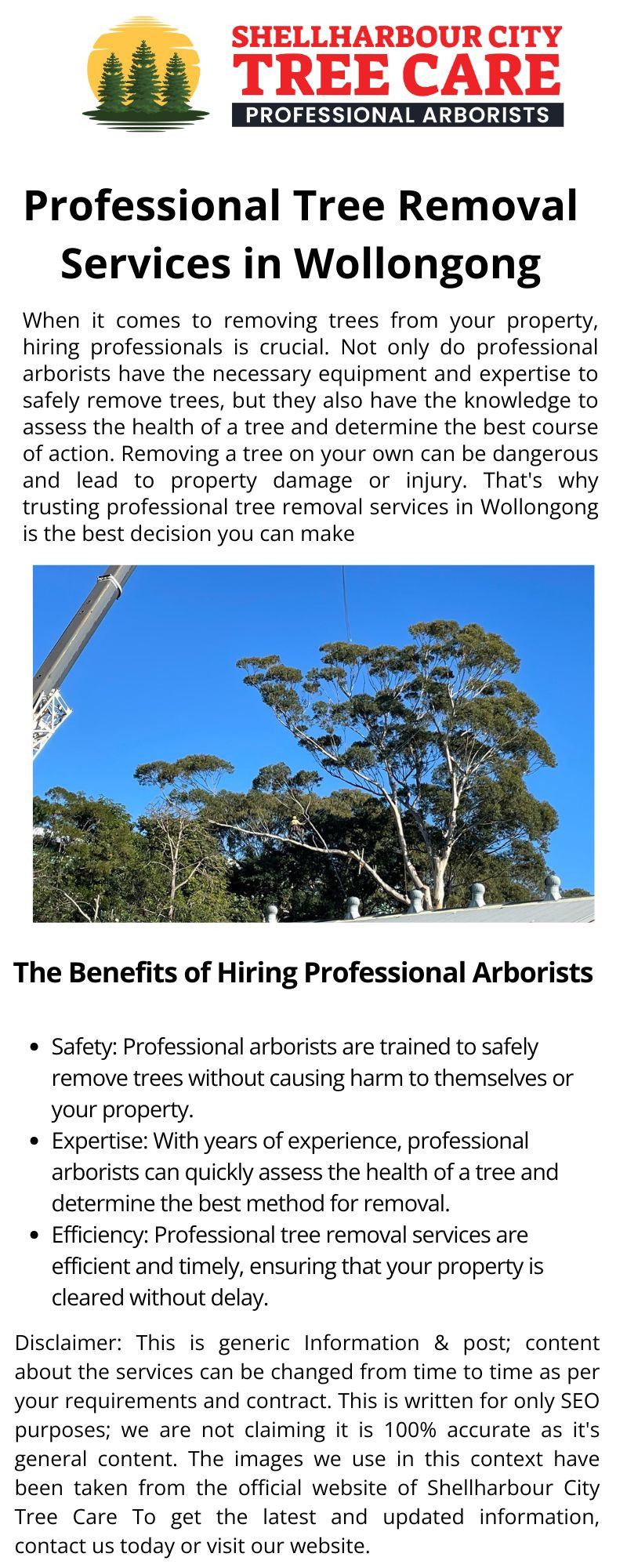 Professional Tree Removal Services in Wollongong - Gifyu