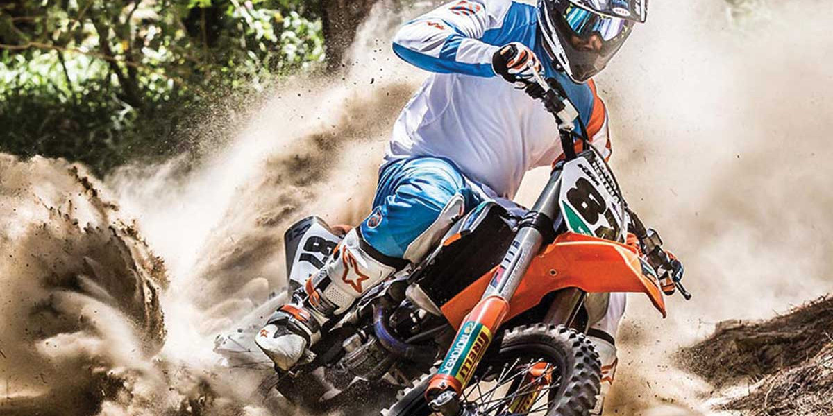 Singapore Off-Road Motorcycle Market Analysis and Future Trajectories Overview 2024 - 2032