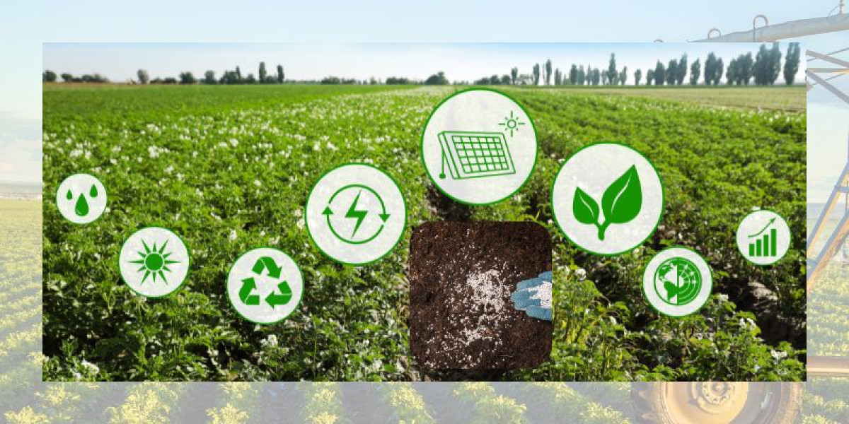 Biostimulant Market Growth Boosted by Increasing Adoption of Eco-Friendly Farming Practices