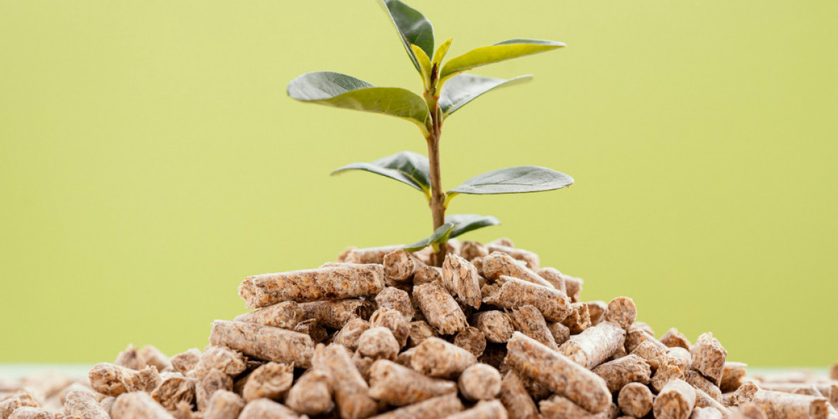 Driving Sustainability Market: Innovations and Challenges in Phosphorus Management for a Greener Future
