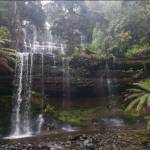 wildtasmaniatours