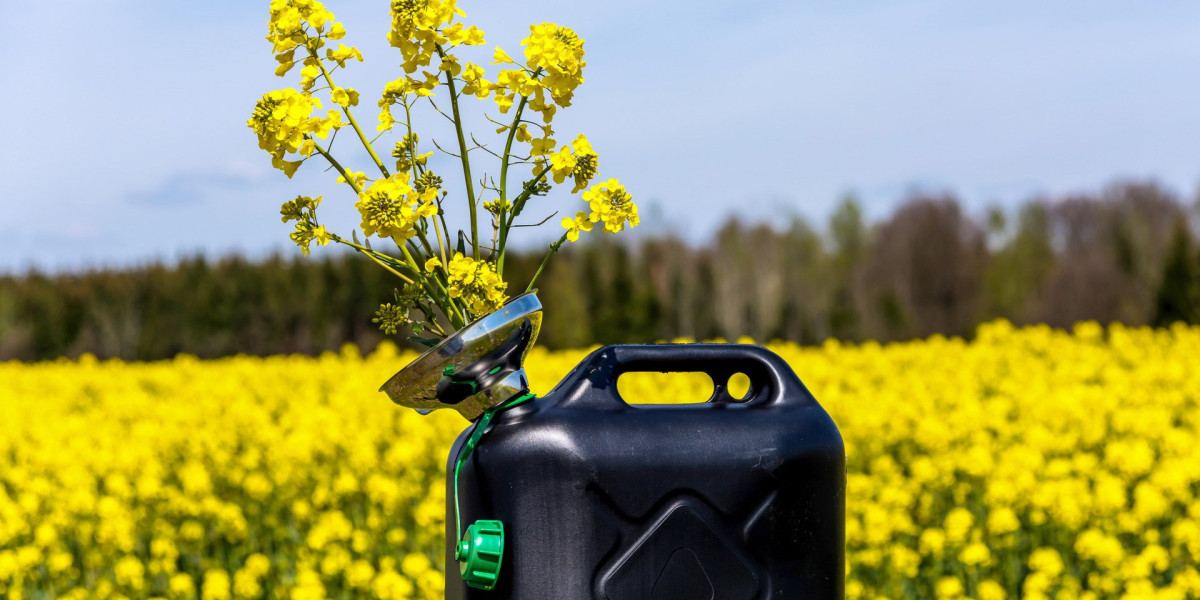 Biodiesel Market Insights and Future Growth Review 2024 - 2032