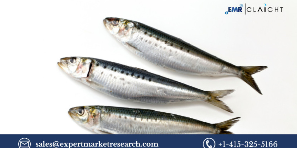 Sardine Market: Growth, Trends, and Insights for the Future (2034)