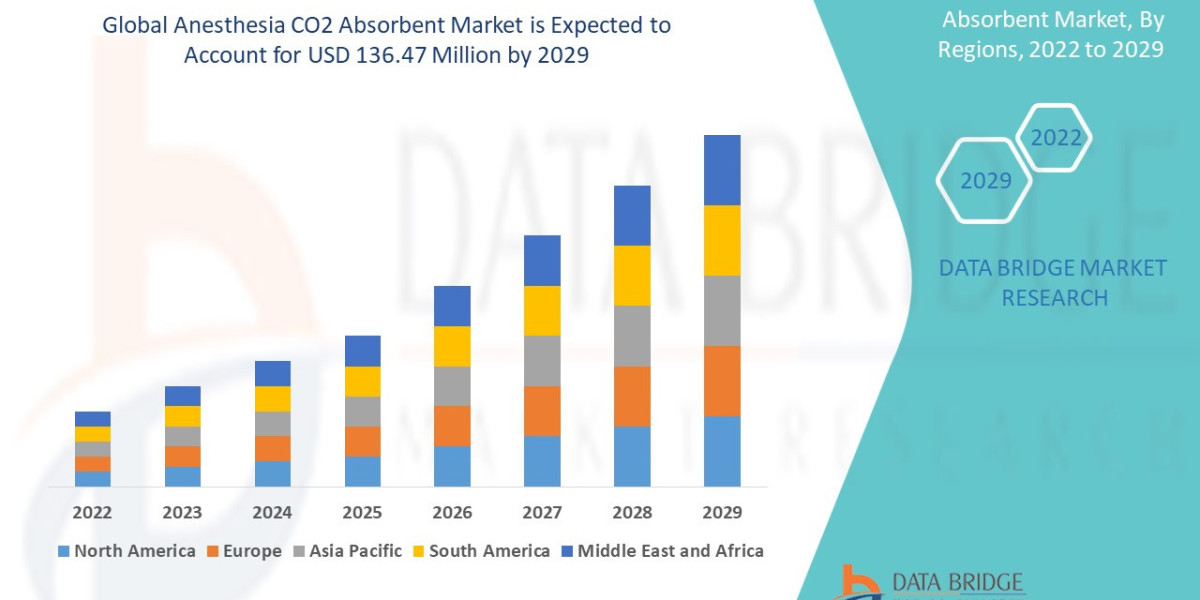 Anesthesia CO2 Absorbent  Market Size, Share, and Growth Opportunities 2029