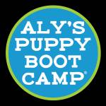 Aly's Puppy Boot Camp