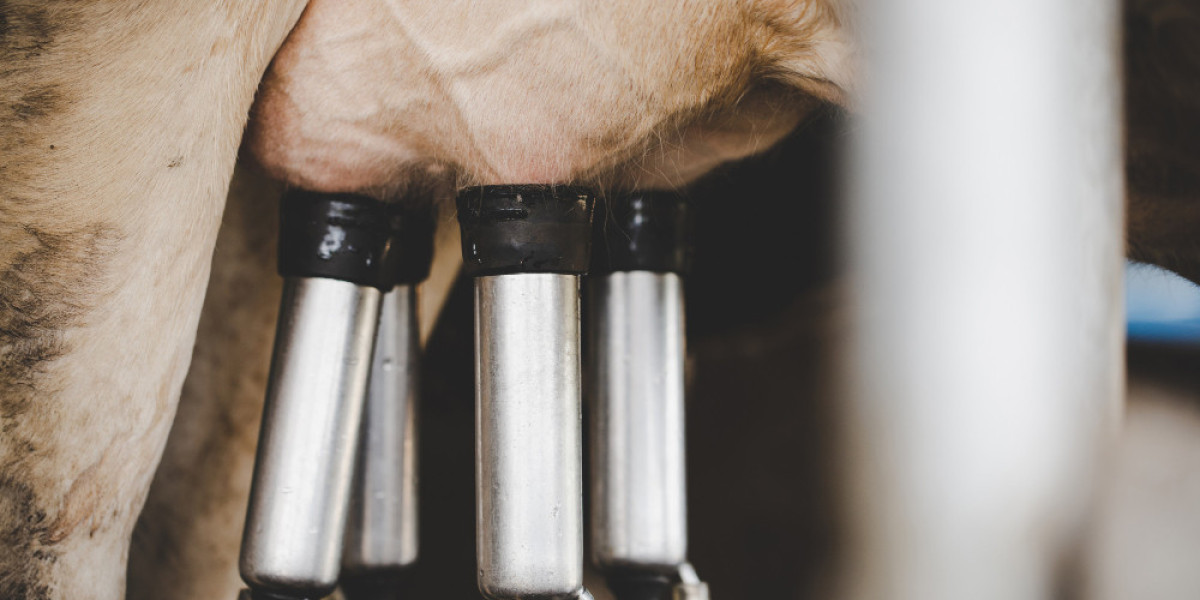 Exploring the Growth and Potential of the Bovine Lactoferrin Market