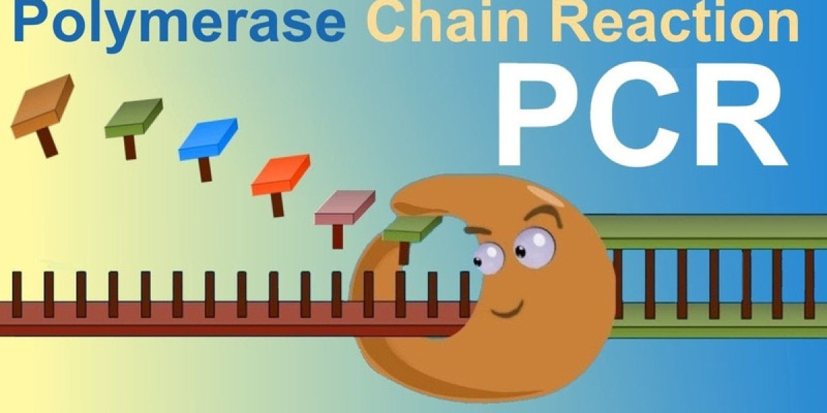 What’s Driving Growth in the PCR Technologies Market?