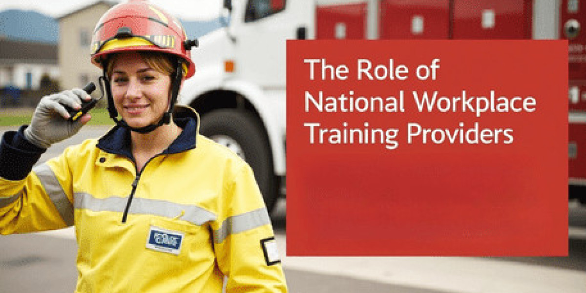 The Role of National Workplace Training Providers in Development