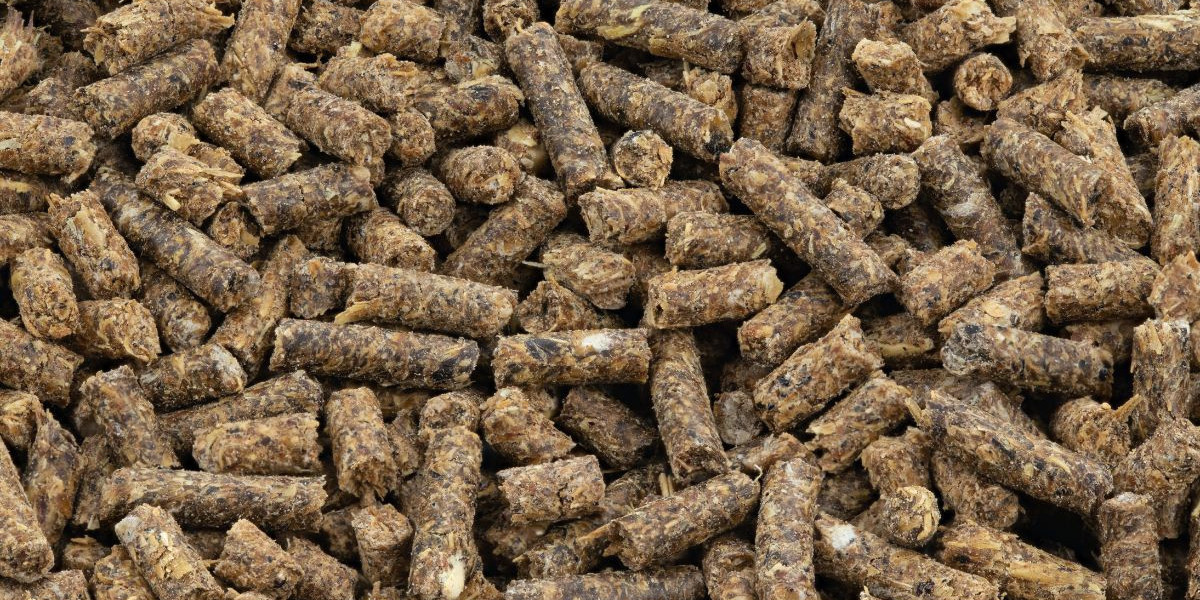 Mercado de Pellets de Alfalfa: Tendencias y Oportunidades en la Industria de la Alimentación Animal y Energía