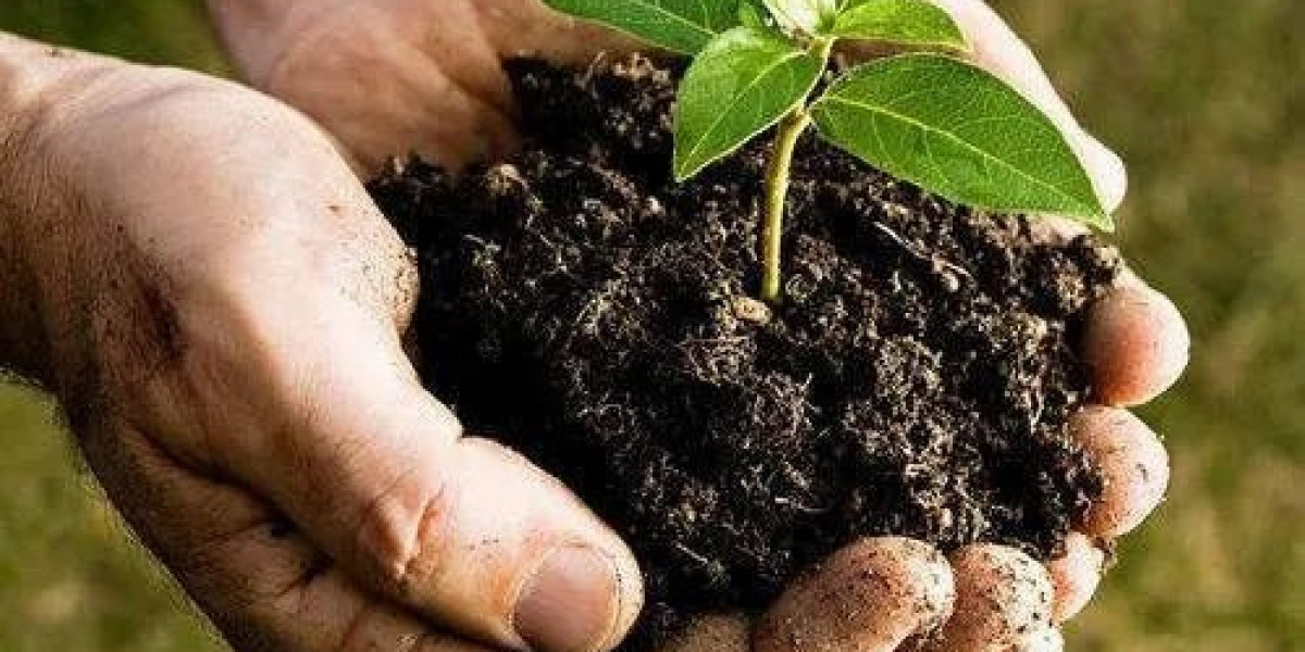 Organic Fertilizer Manufacturing Plant Project Report: Unit Setup and Infrastructure Necessities