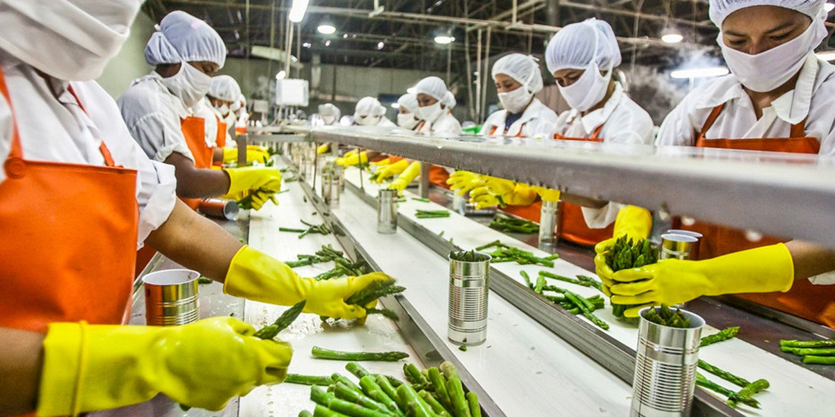 Cost to Setup a Food Processing Plant- Detailed Project Report on Requirements and Key Aspects