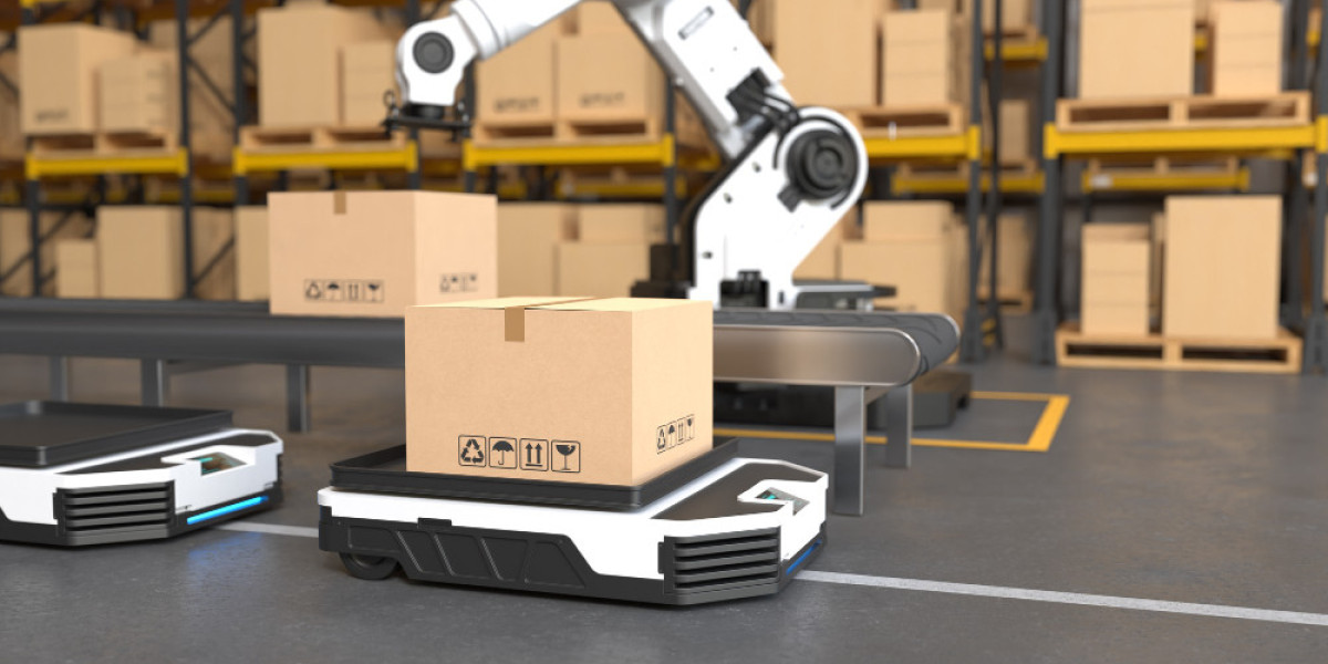 The Future of Automated Storage and Retrieval System Market: Exploring the Warehousing