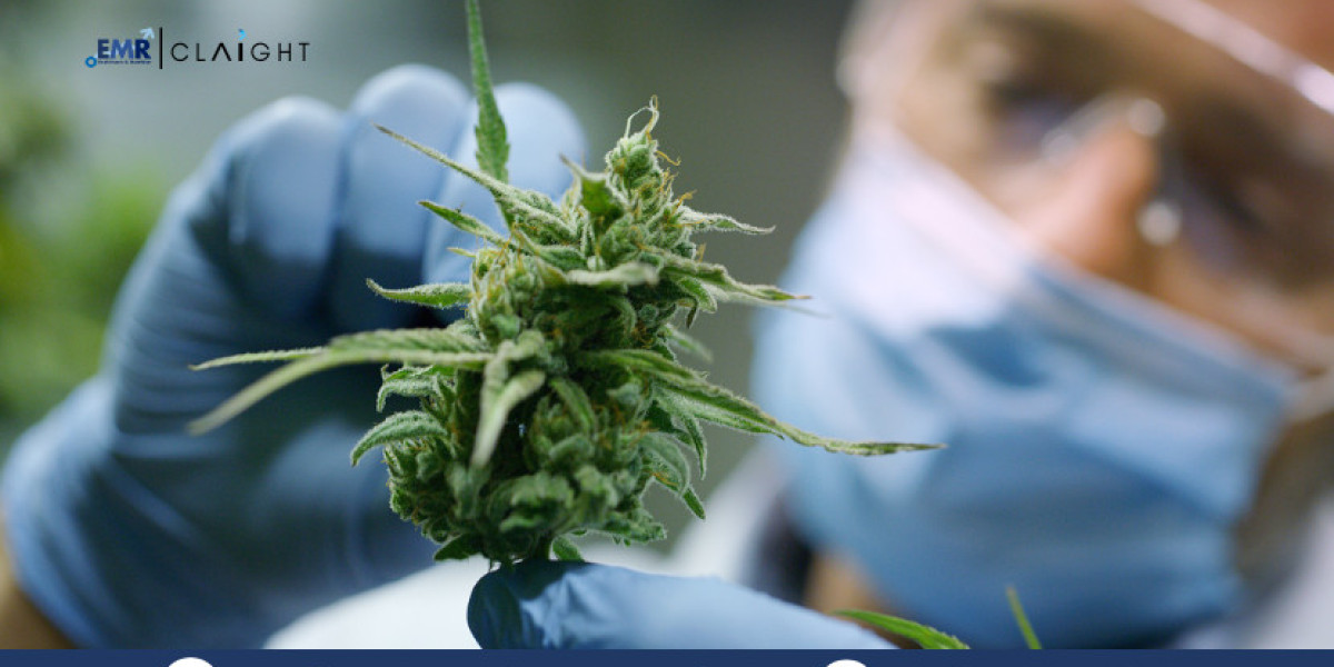 Cannabis Industry Market Analysis, Size & Demand 2025–2034